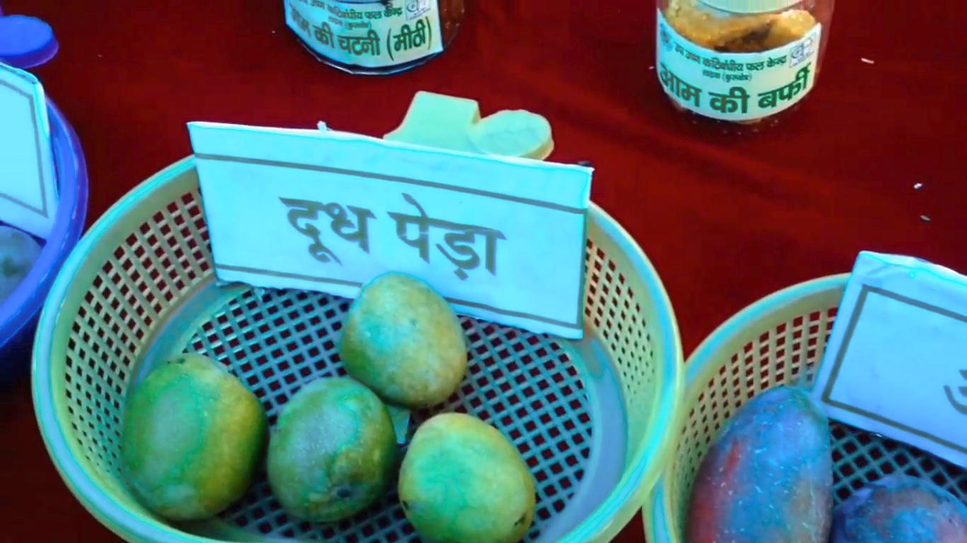 5 important fairs and festivals of Chandigarh Namaste! Gozo cabs