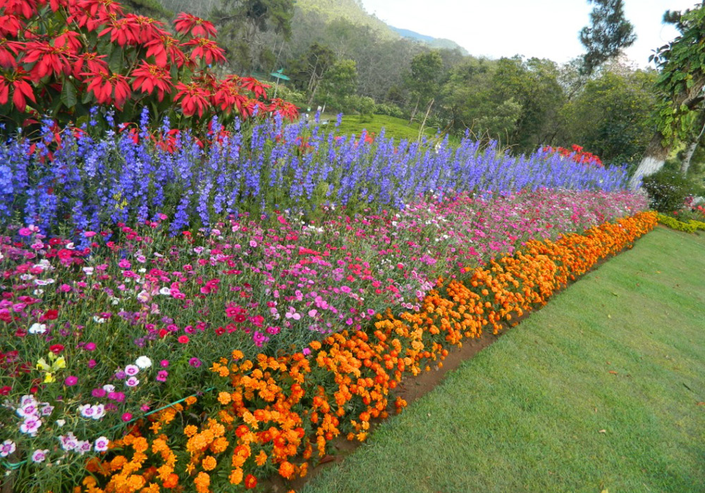 Hydel Park